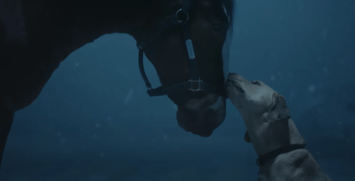 15 Best Super Bowl Commercials Of 2024